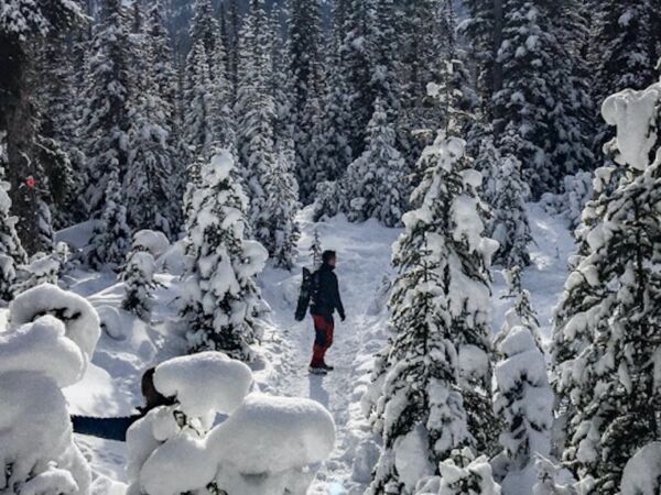 Snowshoeing with Canadian Rockies Experience