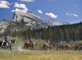 Rundle Mountain