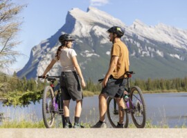 2026 Wild Alpine 20250821 46448
