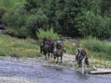 Cursor And Kananaskis Adventure Ride
