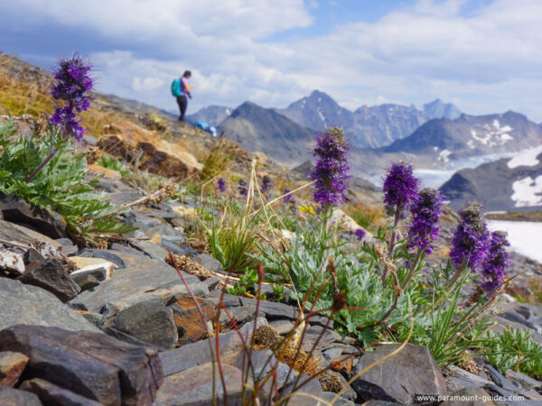 Paramount Guides Hiking Tours Guiding Services 01