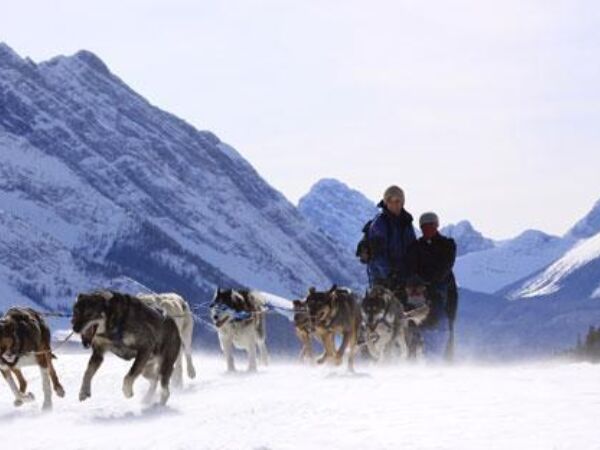 Howling Dog Tours Sleddog Tours In The Canadian Rockies