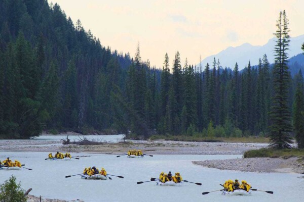 Wild Water Adventures